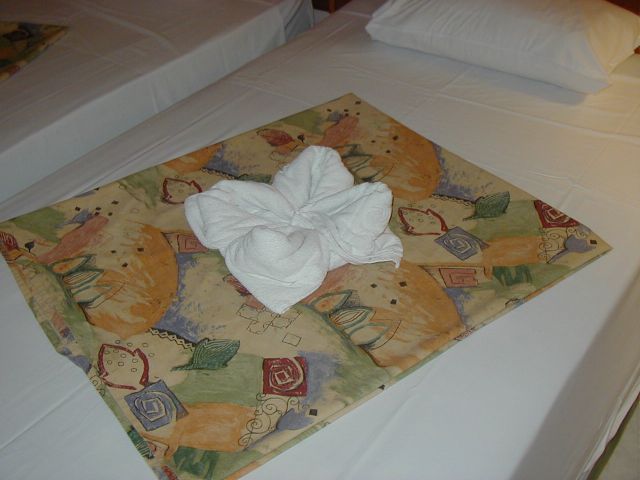 The towel design of the day from our maid.